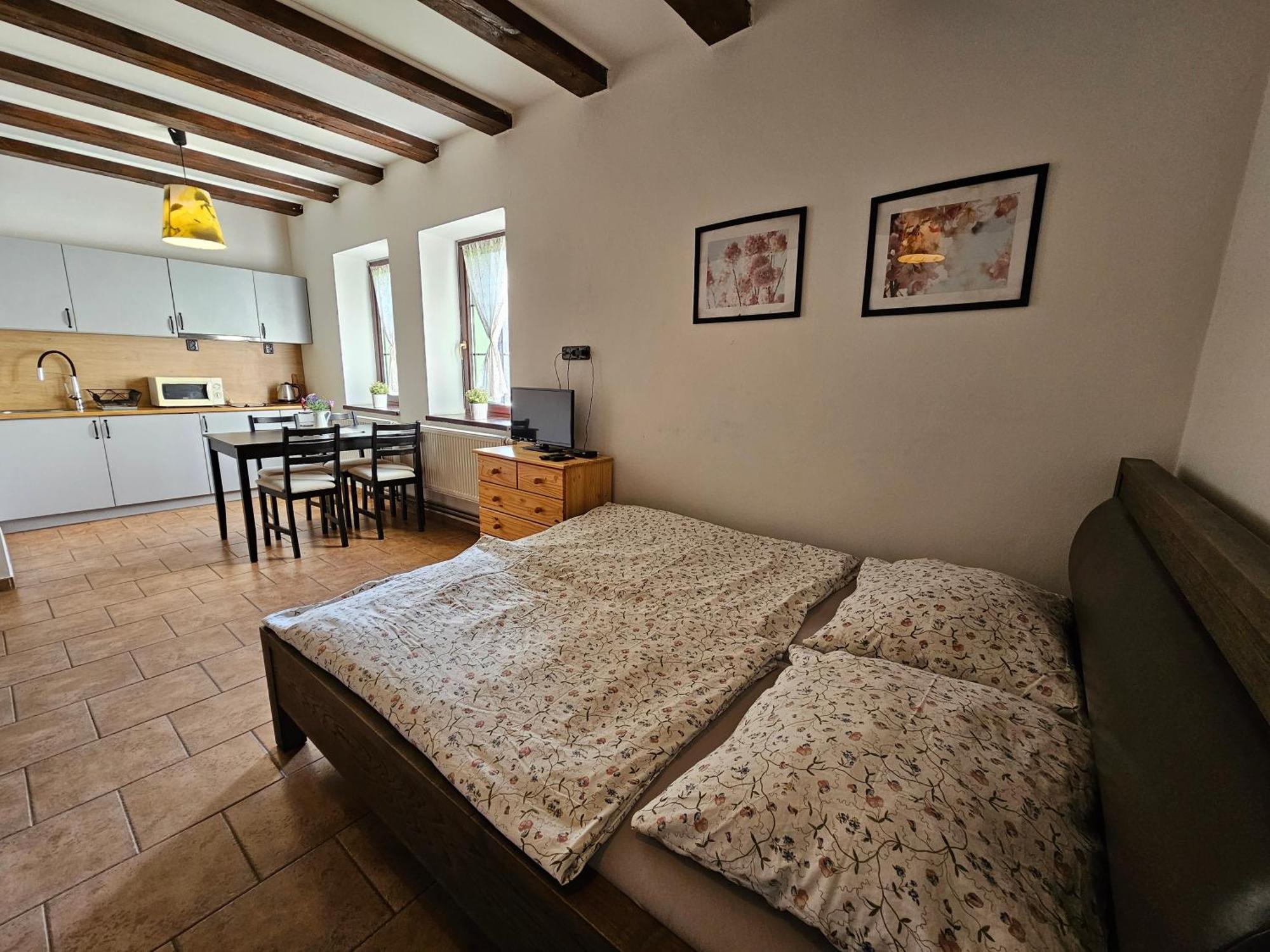 Apartmanove Ubytovani V Koutech Loučná nad Desnou Buitenkant foto